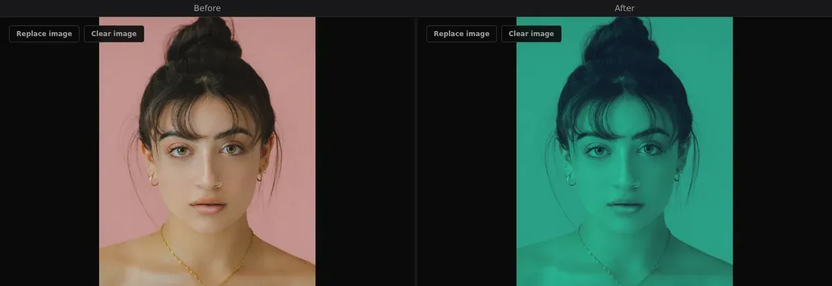 Duotone — before and after comparison